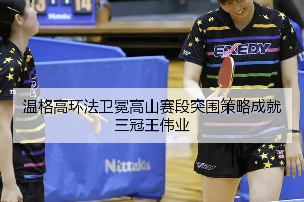 wen-ge-gao-huan-fa-wei-mian-gao-shan-sai-duan-tu-wei-ce-lve-cheng-jiu-san-guan-wang-wei-ye-3-387.jpg